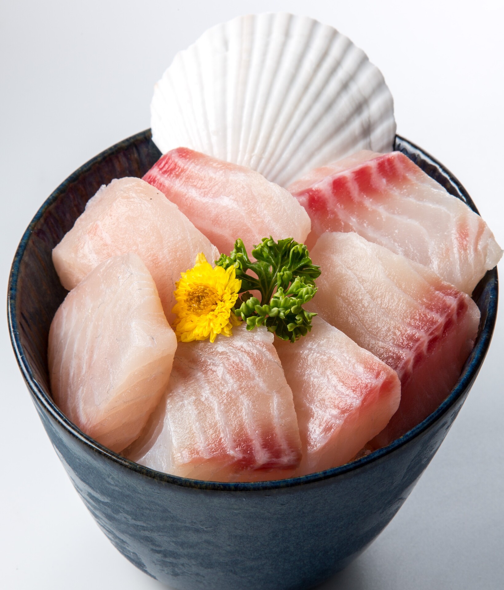 (3) 單點魚 國寶鯛魚